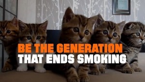 How Smoking Affects Our Pets and What We Can Do About It- Truth- JoinTogether News Service from the Partnership for Drug-Free Kids