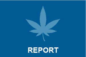 Marijuana Report