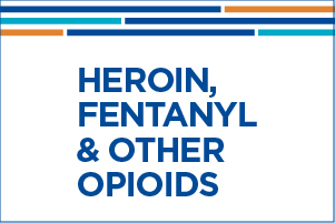 Heroin, Fentanyl & Other Opioids eBook
